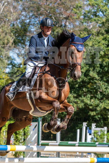 RFV Dinslaken-Hiesfeld (Herbstturnier)