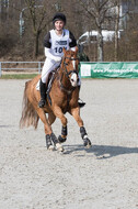 Eventing Langenfeld 2018