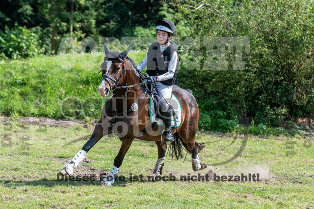 Goldene Schärpe 2021 - Ponys