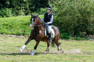 Goldene Schärpe 2021 - Ponys