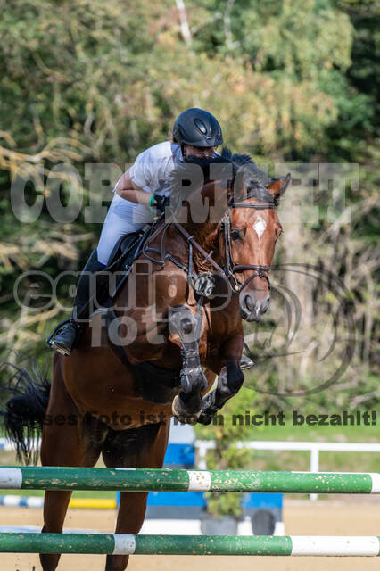 RFV Dinslaken-Hiesfeld (Herbstturnier)