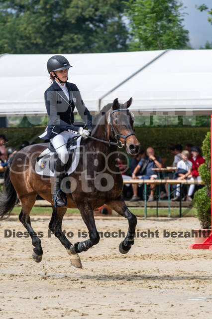 Goldene Schärpe 2021 - Ponys