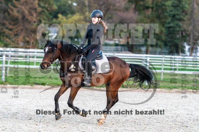 IGV Lehrgang der Sieger der Cups mit Frank Ostholt