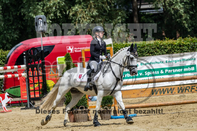 Goldene Schärpe 2021 - Ponys