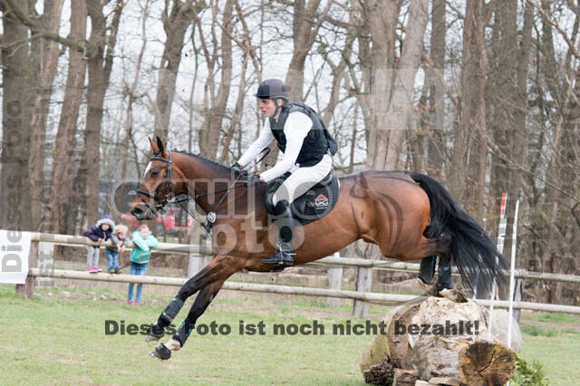Jungpferdetag Hamminkeln