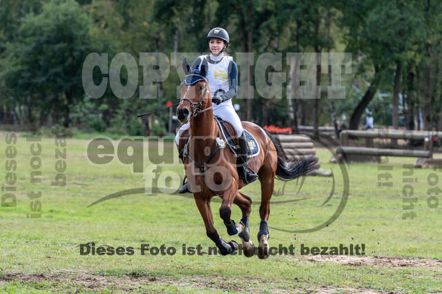 Vielseitigkeit RSV Wesel Obrighoven (26.+27.09.2020)