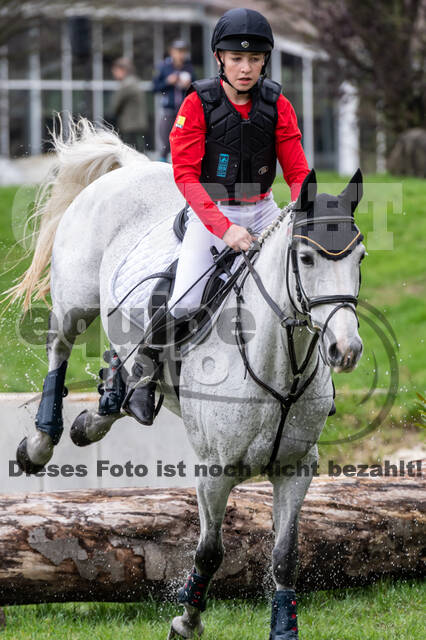 Goldene Schärpe 2020 - Pferde