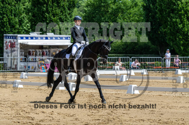 Westerstede Horse Trials 2021
