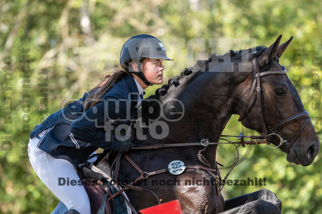 RFV Dinslaken-Hiesfeld (Herbstturnier)