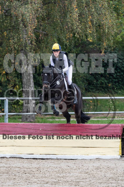 Goldene Schärpe 2020 - Pferde