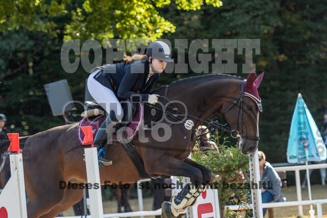 RFV Dinslaken-Hiesfeld (Herbstturnier)