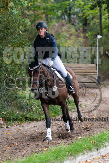 Goldene Schärpe 2020 - Pferde