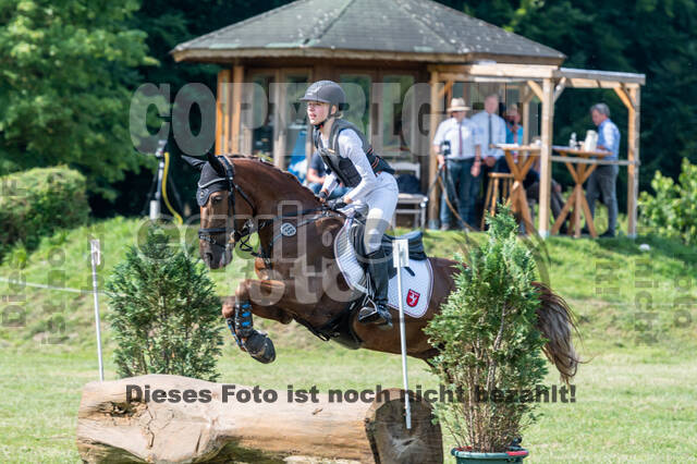 Goldene Schärpe 2021 - Ponys