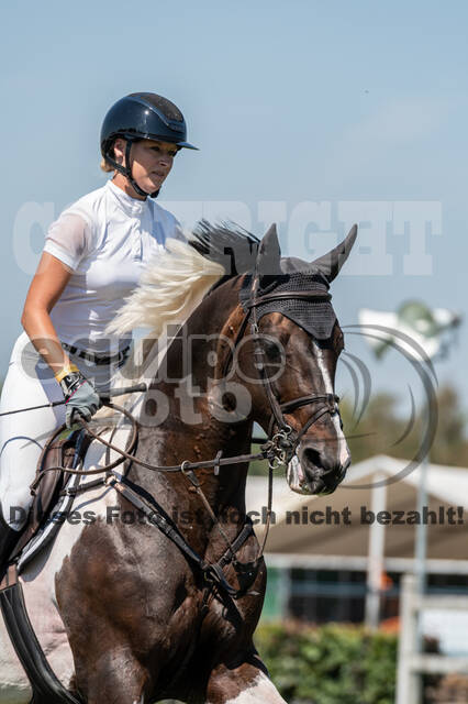 Kronenberg - De Peelbergen (August 2020)