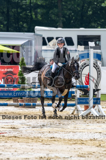 Goldene Schärpe 2021 - Ponys