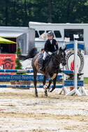 Goldene Schärpe 2021 - Ponys