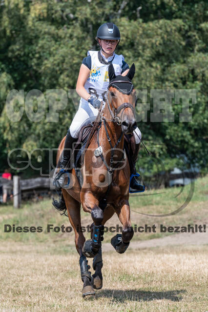 Late-Entry Vielseitigkeit Hamminkeln/Wesel (01.+02.08.2020)