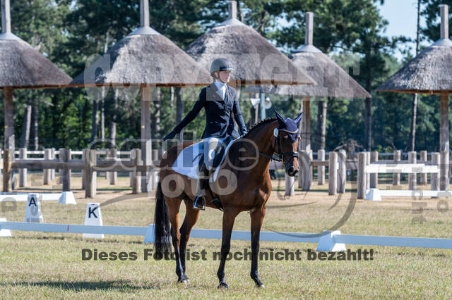 Kronenberg - De Peelbergen (August 2020)