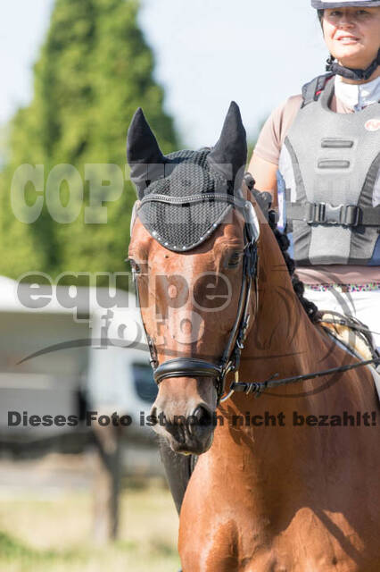 Vielseitigkeitsturnier RSV St. Hubertus Wesel Obrighoven
