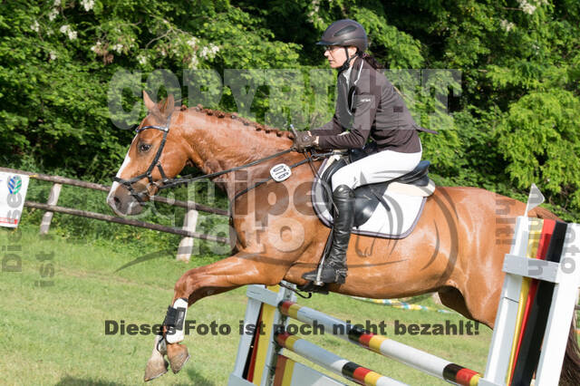 Vielseitigkeitsturnier ZRuFV von Lützow Hamminkeln