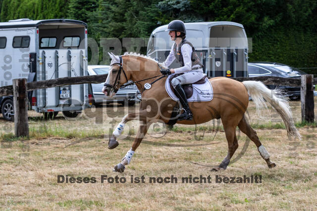 Late-Entry Vielseitigkeit Hamminkeln/Wesel (01.+02.08.2020)