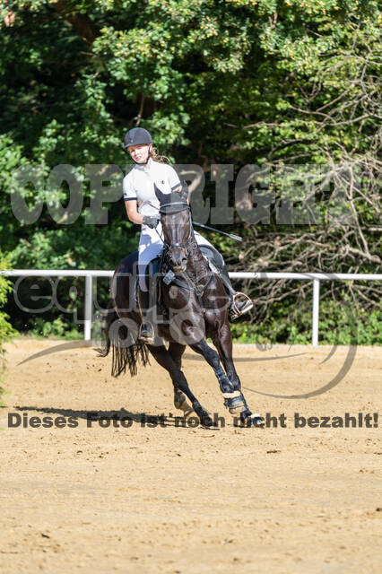 RFV Dinslaken-Hiesfeld (Herbstturnier)