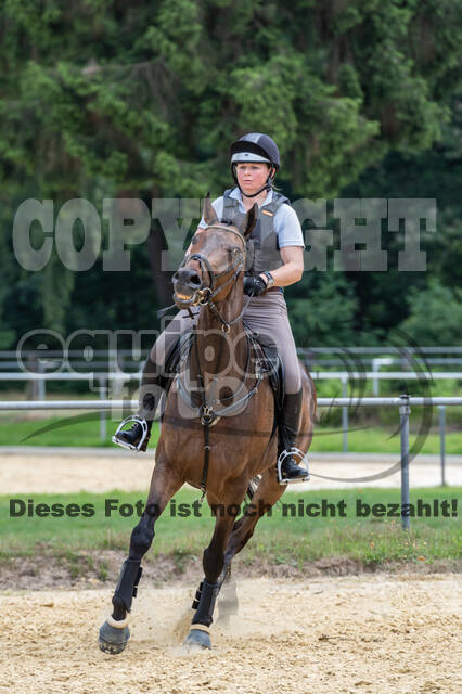 Hunter Geländetraining 10.07.2021 (Sonsbeck)