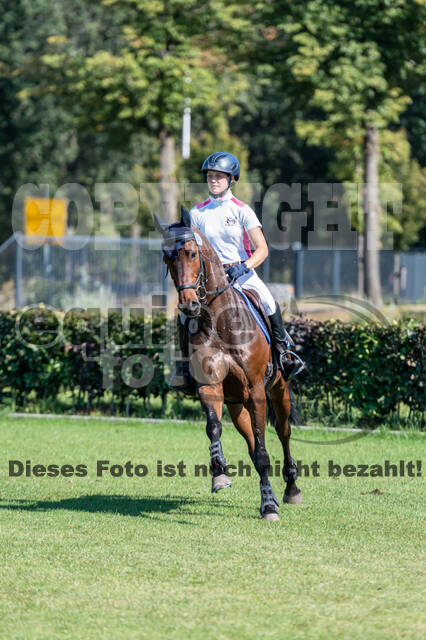 Kronenberg - De Peelbergen (August 2020)