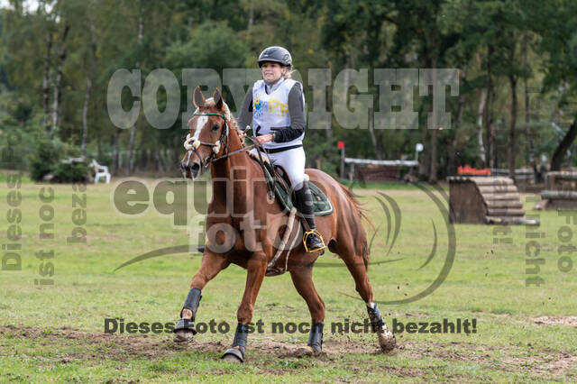 Vielseitigkeit RSV Wesel Obrighoven (26.+27.09.2020)