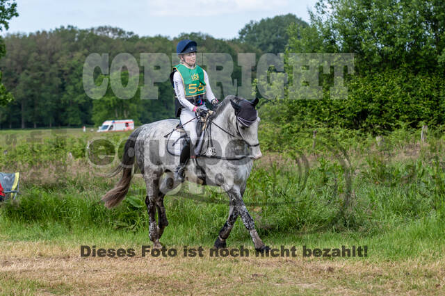 Westerstede Horse Trials (10.-13.06.2021)