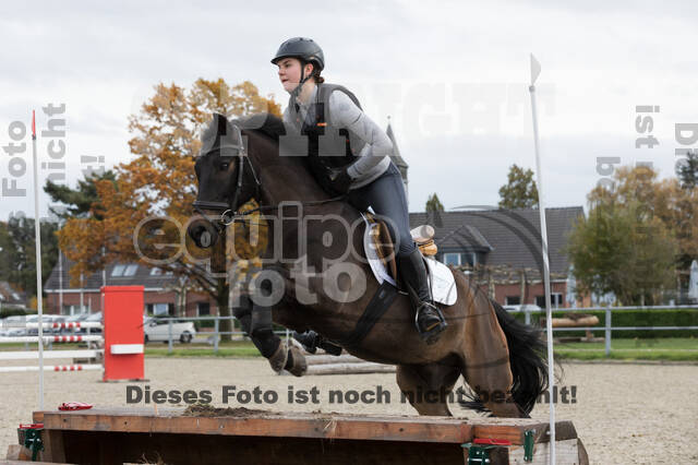 IGV Lehrgang der Sieger der Cups mit Frank Ostholt