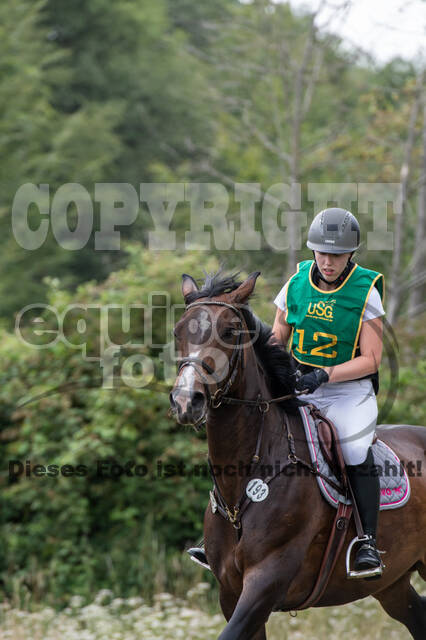 Late-Entry-Vielseitigkeit Gahlen (18.07.2020)