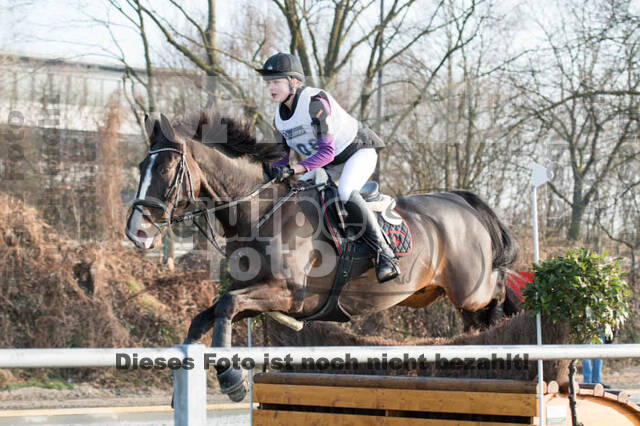 Eventing Langenfeld 2018