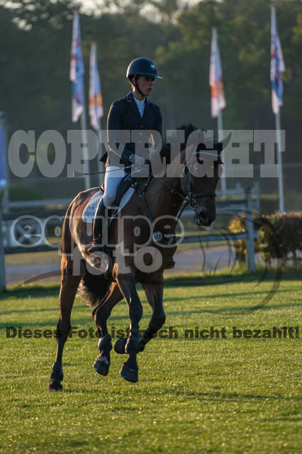 De Peelbergen (August 2020)