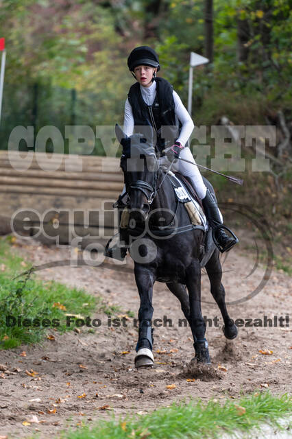 Goldene Schärpe 2020 - Pferde