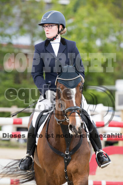 Sterne über Münster 2019 - CCI***S