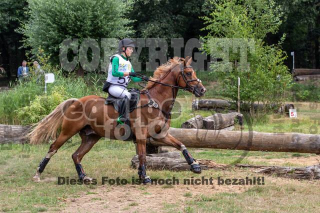 Late-Entry Vielseitigkeit Hamminkeln/Wesel (01.+02.08.2020)
