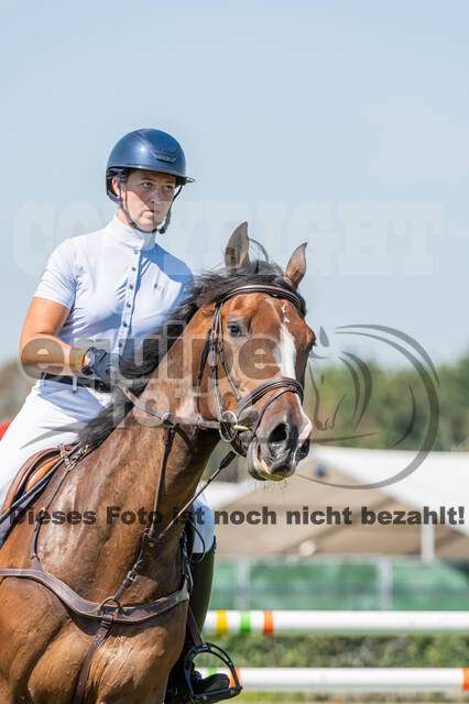 Kronenberg - De Peelbergen (August 2020)