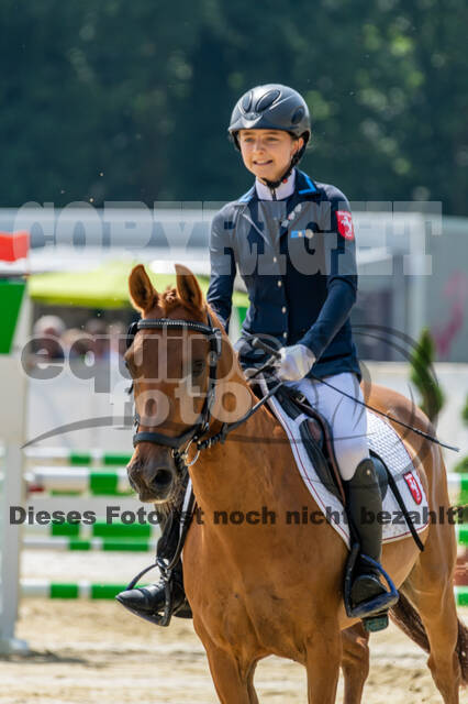 Goldene Schärpe 2021 - Ponys
