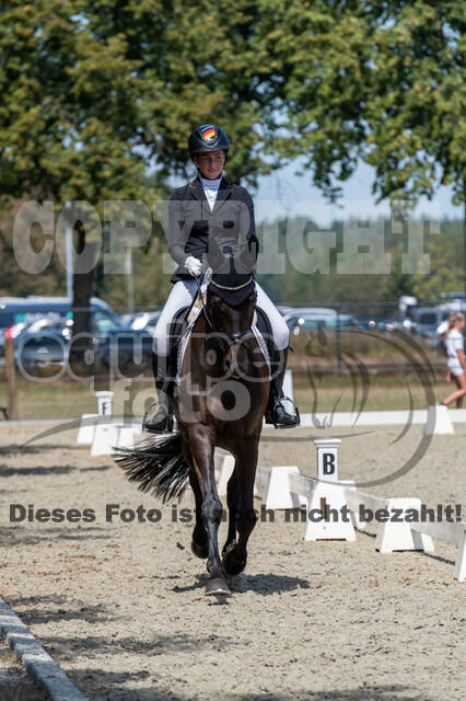 Kronenberg - De Peelbergen (August 2020)