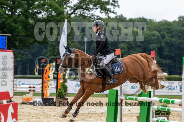 Goldene Schärpe 2021 - Ponys