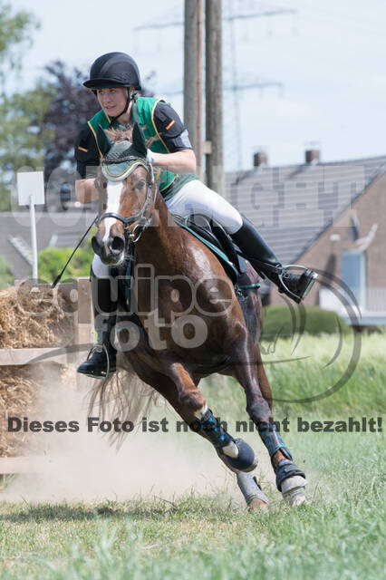 Vielseitigkeitsturnier ZRuFV von Lützow Hamminkeln