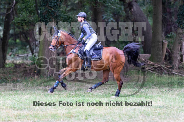 Late-Entry Vielseitigkeit Hamminkeln/Wesel (01.+02.08.2020)