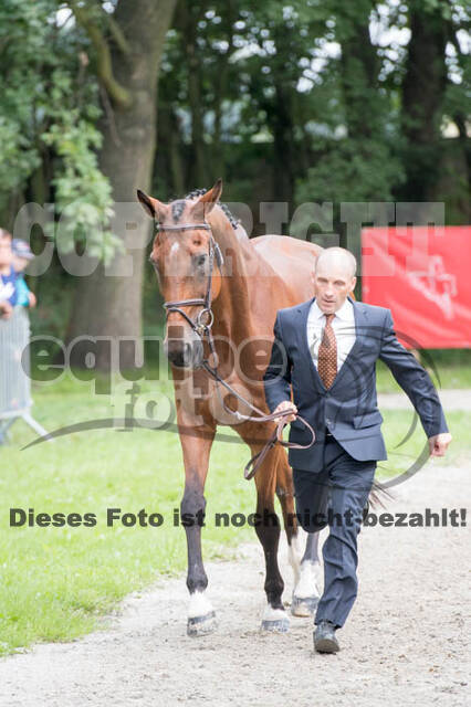 FEI European Championship Eventing 2017