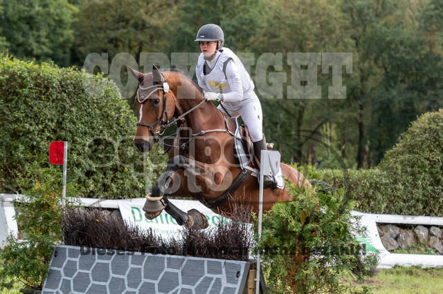 Vielseitigkeit RSV Wesel Obrighoven (26.+27.09.2020)