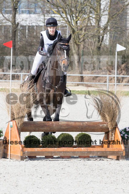 Eventing Langenfeld 2018