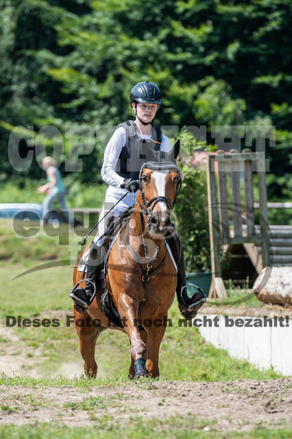 Goldene Schärpe 2021 - Ponys