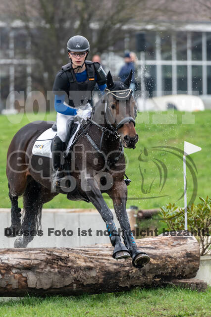 Goldene Schärpe 2020 - Pferde