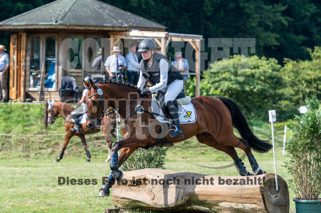 Goldene Schärpe 2021 - Ponys