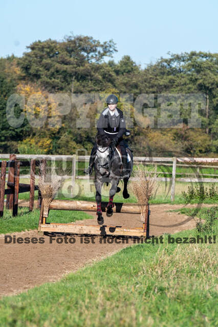 Vielseitigkeitslehrgang mit Jürg Kurbel (9.+10.11.2019)